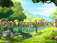 Игровой слот Gnome Wood – играйте онлайн за выигрыши