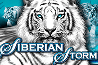 Siberian Storm – функциональный игровой автомат разработчика IGT